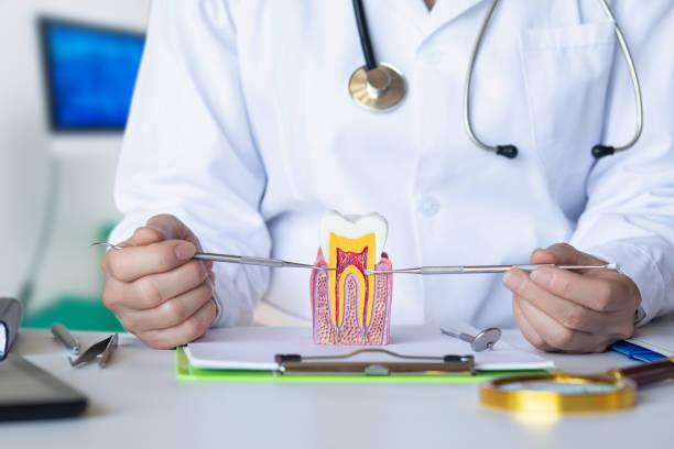 Best Orthodontic Emergency Dentist in Athena, OR